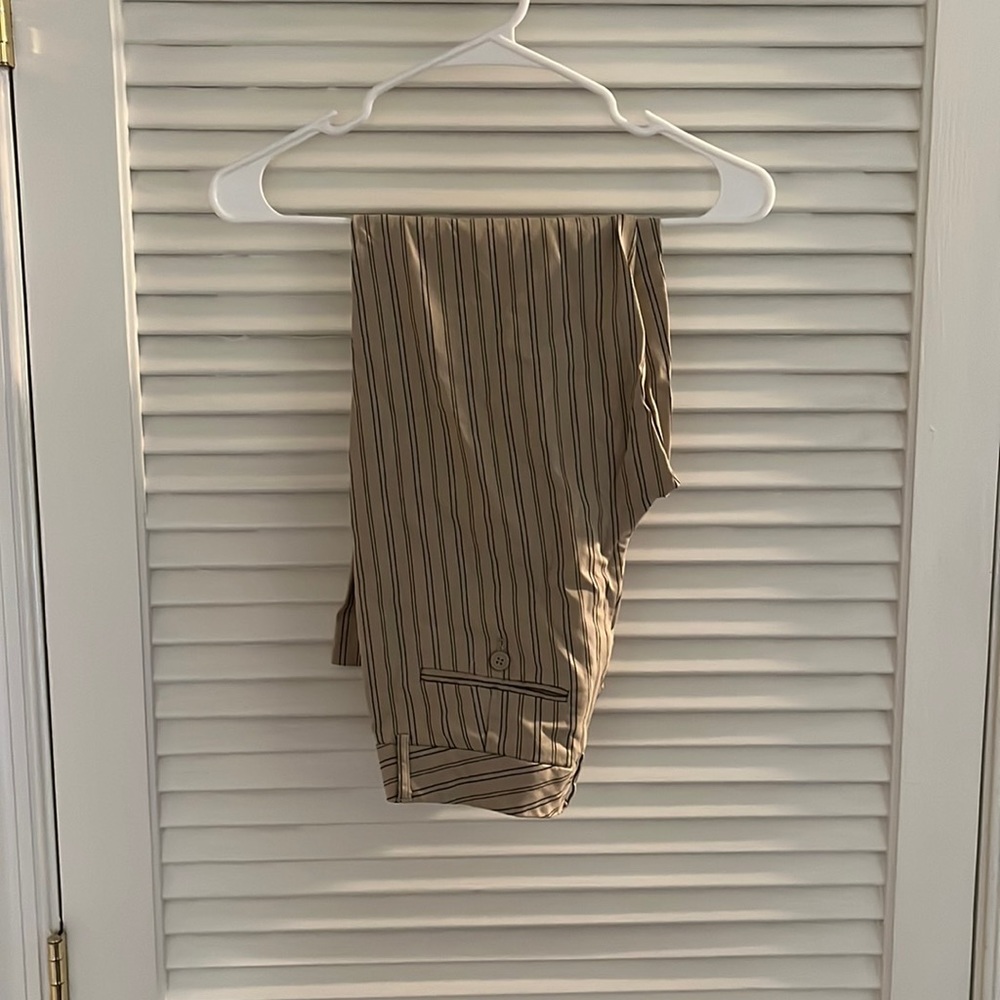 Express Suit Pants